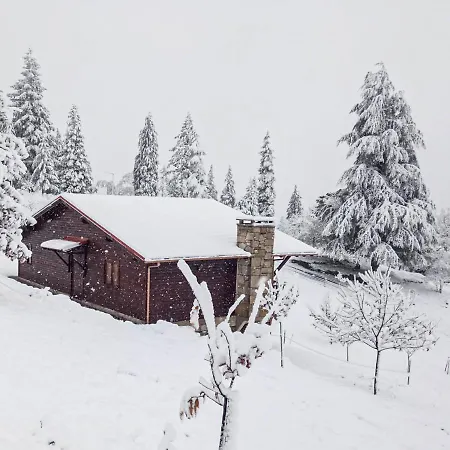 Villa Quinta OUTONO DOURADO Montalegre Esterno foto