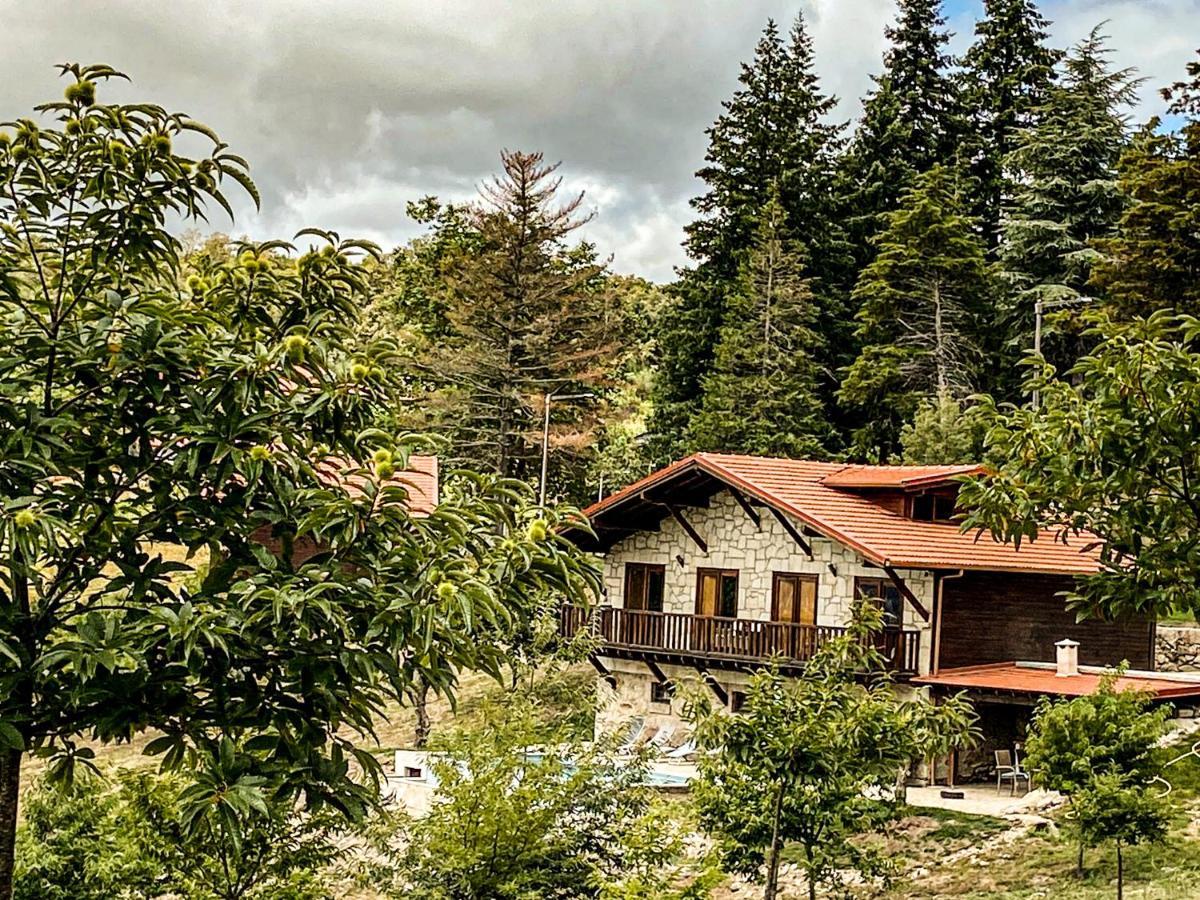 Quinta Outono Dourado Villa