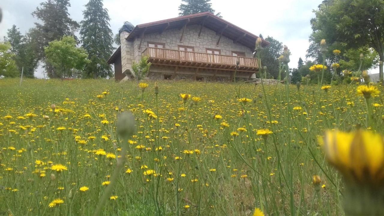 Quinta Outono Dourado Villa Montalegre